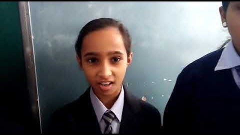 Working model of  vertically opposite angle