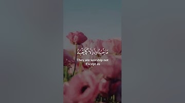 سلمان العتيبي سورة هود اجمل حالات واتس اب دينية 🎧😌