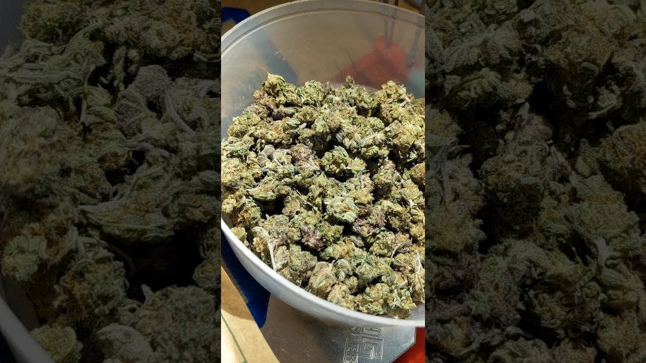 Amazing 50 State legal High CBD Flower Pineberry from Tweedle Farms.