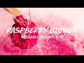 Raspberry Blower Bubble Bar