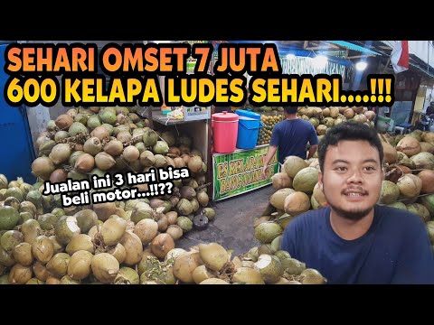 BRUTAL...!!! SEHARI LUDES