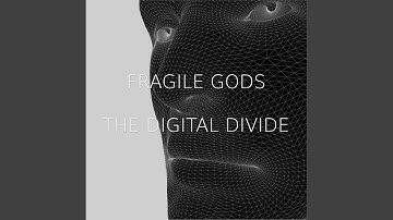 The Digital Divide