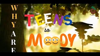 Parental Education: Why are teens so moody? Wealth