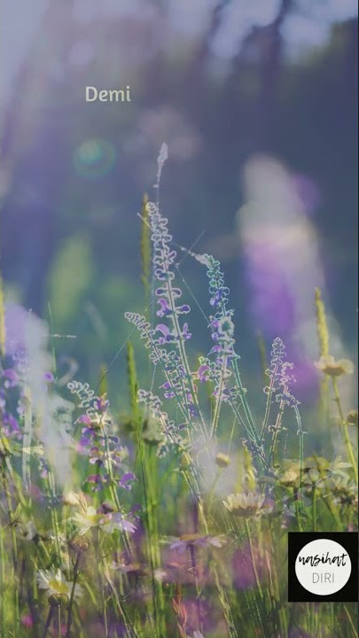 quotes islami | story wa 30 detik | kata mutiara islami yang menyentuh hati  #shorts #storywa