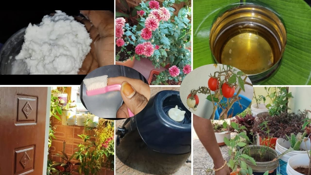 మిక్సీ క్లీనింగ్,వెన్న బాగా రావడానికి కొన్ని టిప్స్||ఎన్నో రోజుల నుండి చేయాలనుకున్న పనులు చేసేసాను