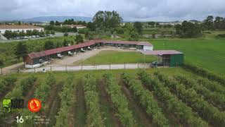 #GPLoft RIACHOS YEARLINGS CUP 2026