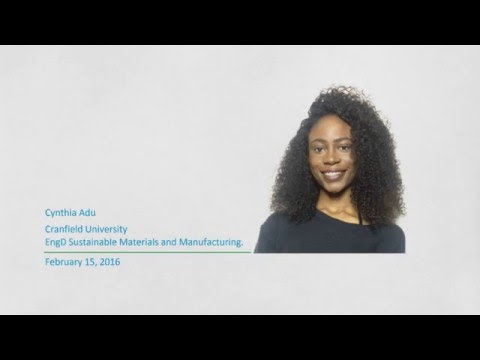 Schmidt MacArthur Fellowship