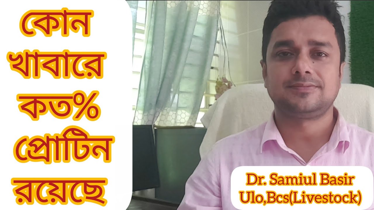 গরুর খাবারে কত % প্রোটিন প্রয়োজন। কোন খাবারে কত% প্রোটিন রয়েছে। গরুর প্রোটিন সমৃদ্ধ দানাদার খাবার। 