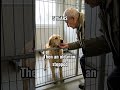 A Forgotten Dog's Final Hope: The Heartwarming Reunion You Won't Forget 🐾