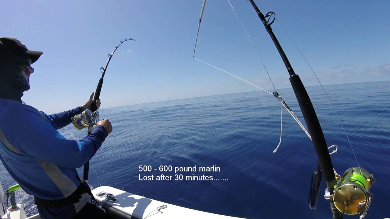 Fishing wide off Townsville YouTube