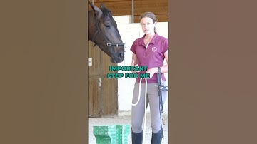 Bridling a Young Horse for the First Time #younghorse #horseriding #equestrian #horsetraining