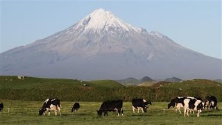 Fonterra's Formula for Countering Milk Slump