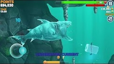 Hungry Shark Evolution - REEF SHARK | Android Gameplay HD