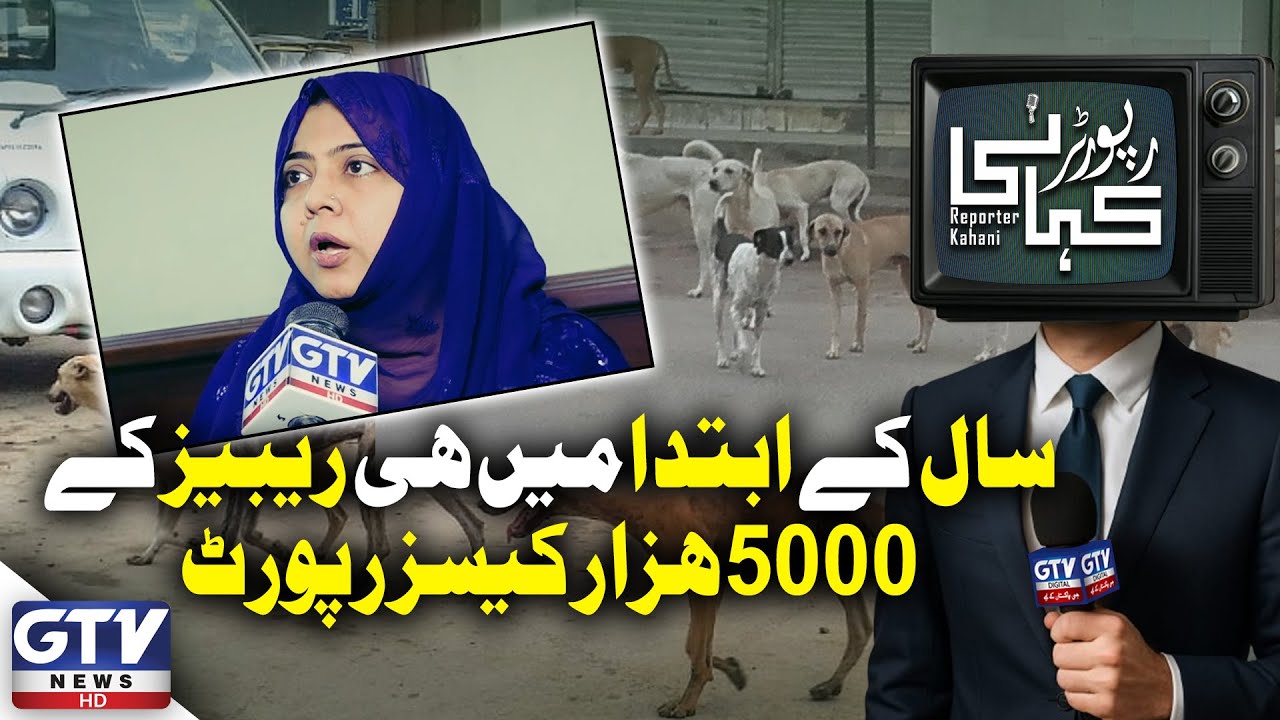 Rabies Outbreak In Karachi: 5,000 Cases in Early 2026 | Reporter kahani | GTV Digial