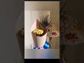 Daisy Flower Candle Bouquet, a radiant and fragrant gift for any occasion