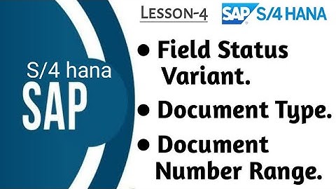 Field Status Variant | Document Type | Document Number Range in S4HANA Finance