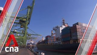 Information Singapore's December exports post surprise expansion Update