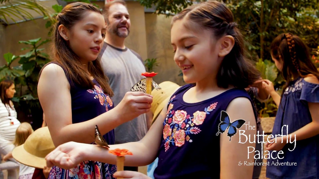 The Butterfly Palace - Branson, Missouri