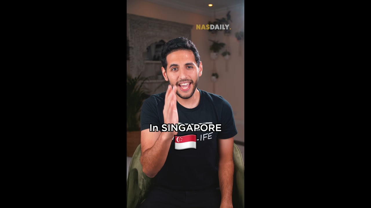 Singapore S Trash Journey 8