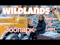 Зоопарк WILDLANDS Adventure Zoo Emmen Нидерланды