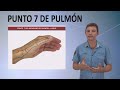 PUNTO 7 PULMON  - 列缺 - liè quē | masajea este punto si tienes resfriado gripe sinusitis congestión