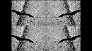 Processor - Drowned Rat