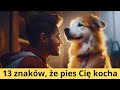 13 oznak psiej miłości 🐶 Po czym poznać, że Twój pies Cię kocha? Jak psy okazują miłość 💕