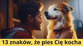 13 oznak psiej miłości  Po czym poznać, że Twój pies Cię kocha? Jak psy okazują miłość