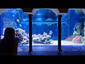 Acquario di Napoli: Il Primo Acquario Pubblico  - Anno 1900