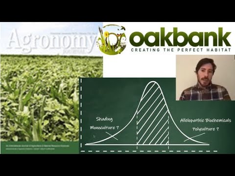 فيديو: قمع الحشائش بمحاصيل الغطاء - كيفية مكافحة الحشائش بمحاصيل الغطاء