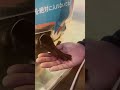 While i was discovering the artic ocean. Twitch.tv/AsGuGU. #viral #fyp #shorts #animal #japan