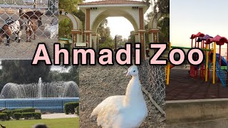 Mini Zoo In Al Ahmadi Kuwait Al Ahmadi