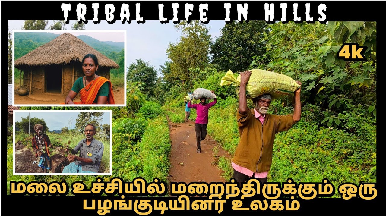 மலை உச்சியில் மறைந்திருக்கும் ஒரு பழங்குடியினர் உலகம் | Tribal Life in Hills Must watch 💯 #tribal 