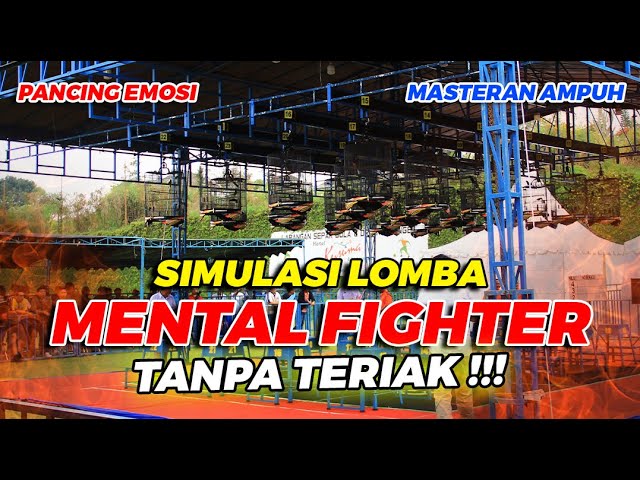 SIMULASI GANTANGAN TANPA TERIAK ❗❗ | MURAI BATU MENTAL BAJA MAKIN EMOSI class=