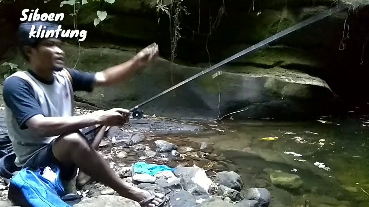 Ganas Nya Ikan Gabus Di Rawa Ini Bikin Yang Mancing Melongo Nggak Percaya Youtube