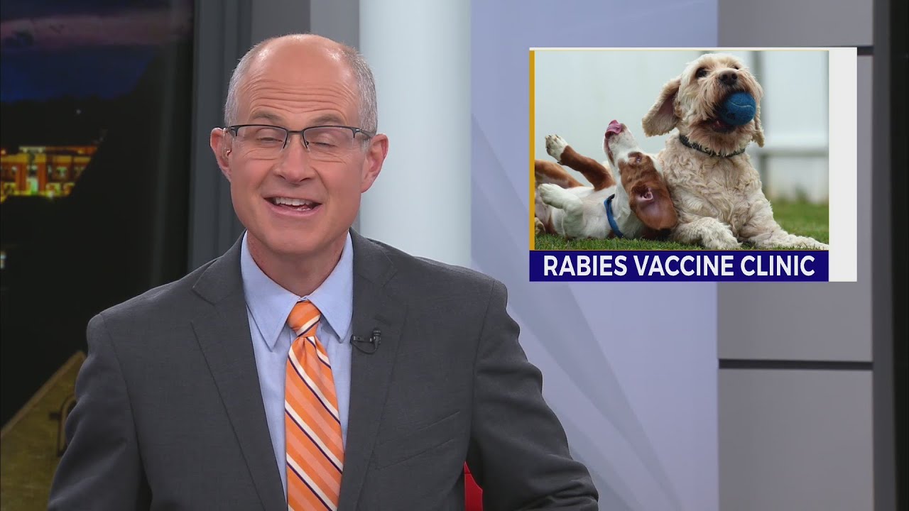 Sullivan County rabies clinic - YouTube