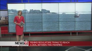 Herring, haddock fishermen at odds as regulators seek peace