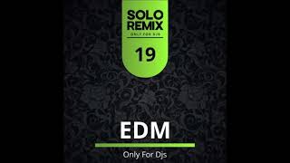 EDM HITS VOL 19