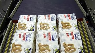 HL9200 High Level, Inline Palletizer Stacking Multiple Package Types