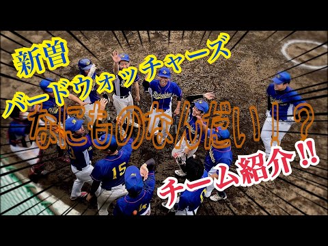 俺たちどんな人たちなの！？！？　新曽バードウォッチャーズ　チーム紹介！！