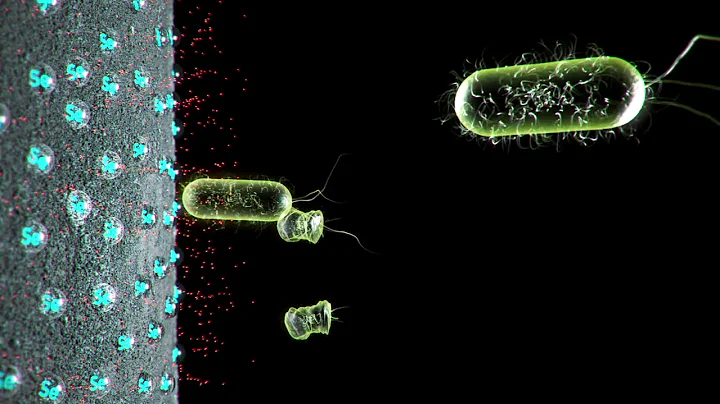 SelenBio SELDOX™ Short Version