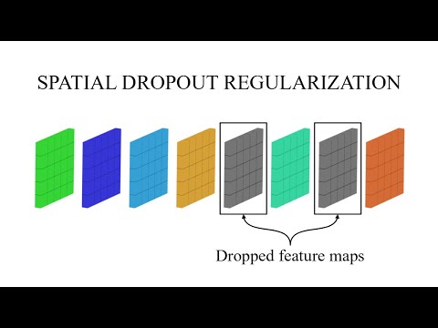 Spatial Dropout Regularization