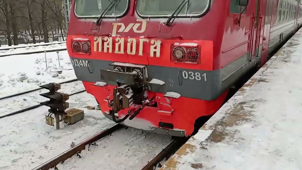 Электропоезд Ладога эд4м-0381 Сообщением Сестрорецк-Санкт-Петербург Прибывает на станцию Ланская