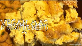 The BEST VEGAN MAC N CHEESE (no cashews!) The BEST VEGAN MAC N CHEESE (no cashews!)
