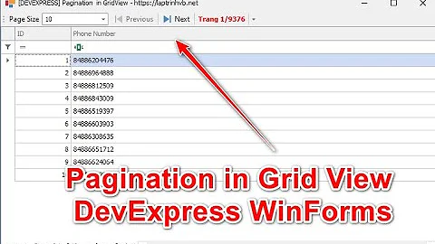 [C#] How to Pagination in Grid View DevExpress WinForms