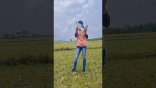 Srk Jahid #Kabootar ki video Pigeon birds Kabootar bazi #pigeon #shorts#youtubeshortsu #new#video🕊️