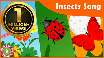 Insects Song for kids | Toddler Rhymes | Educational Songs | Bindi's Music & Rhymes