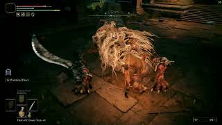 Elden Ring Hand of Malenia Stormveil Castle Lion Guardian