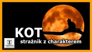 Kot  strażnik z charakterem