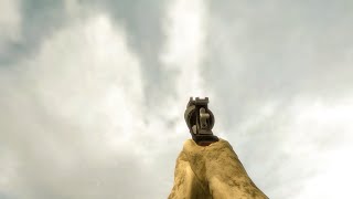 BO2 Executioner on Round 40 Wealth